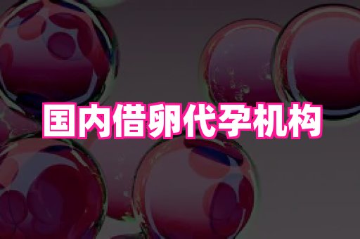 福建助孕网 4